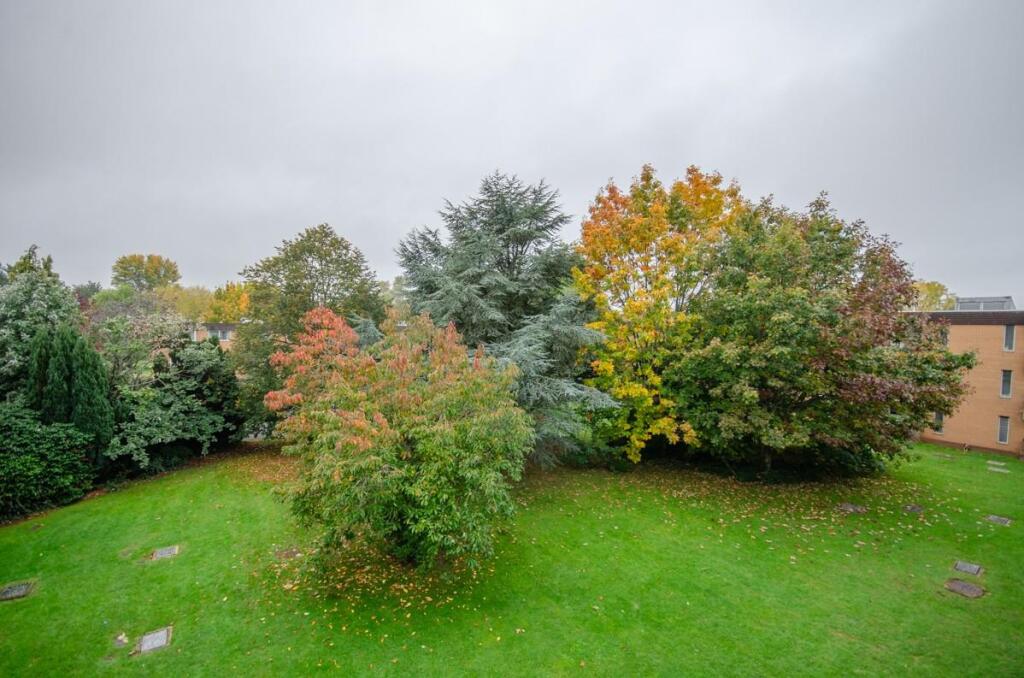 Communal gardens.jpg