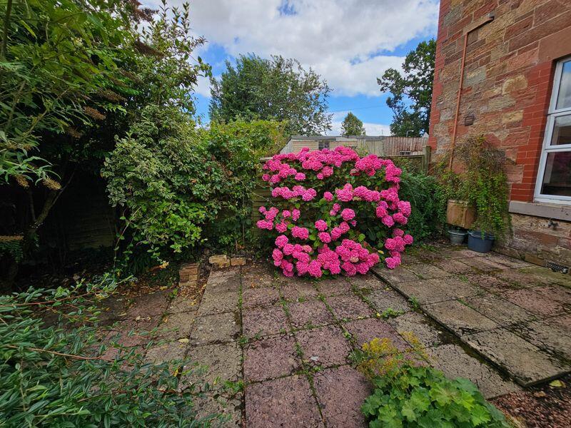 Patio Area