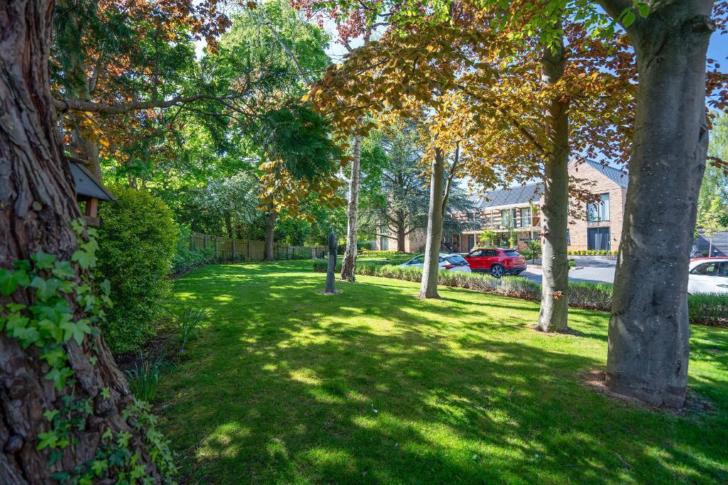 Woodland communal gardens