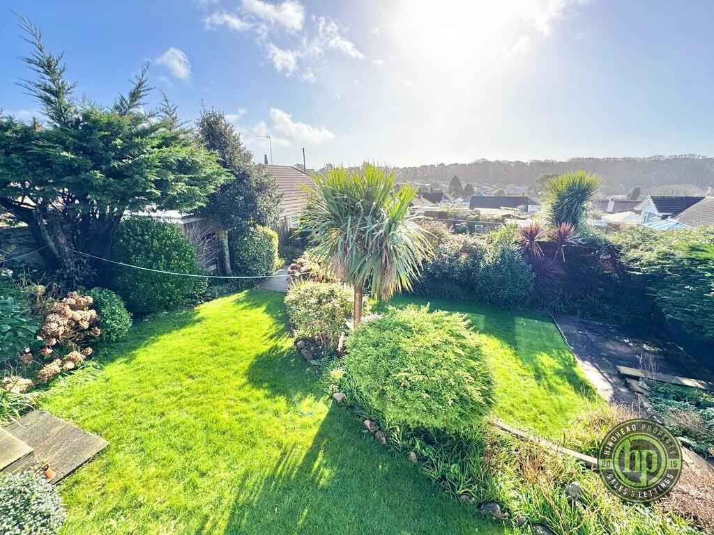 IMG-20250224-WA00...