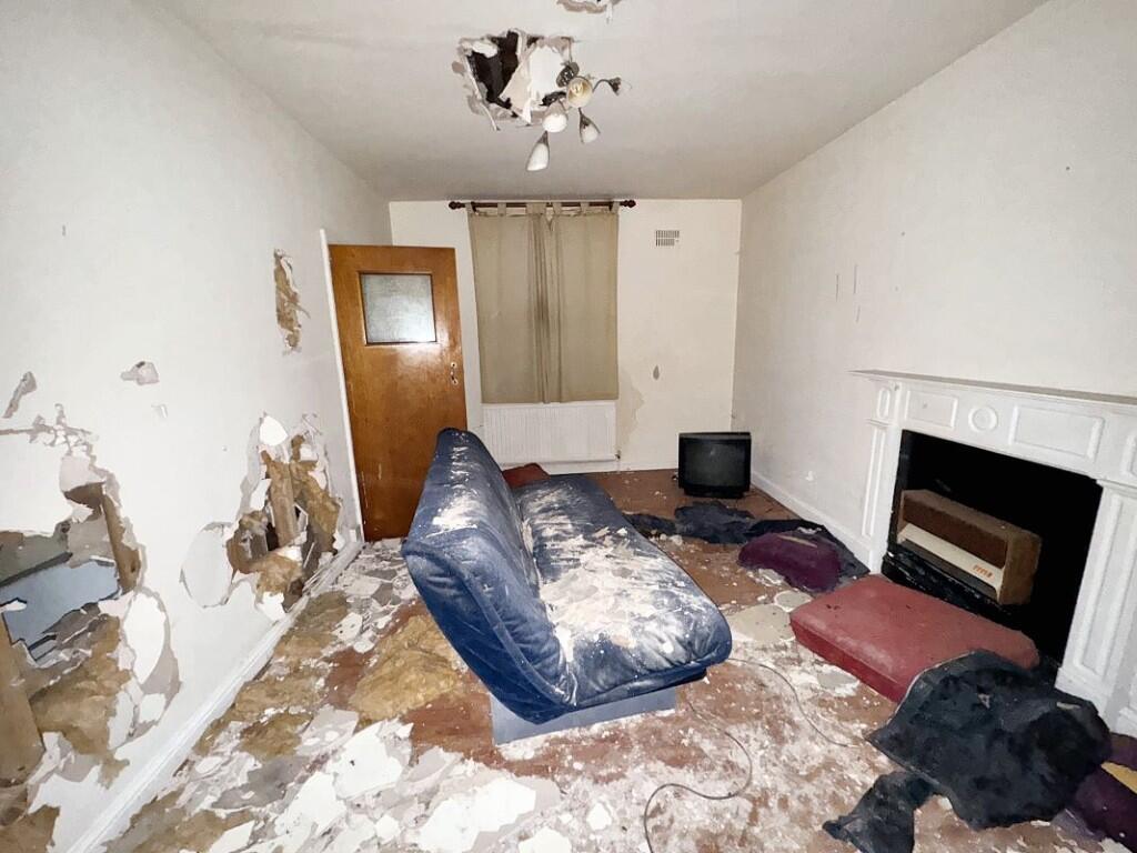 2  Medium  T202508121347.jpg