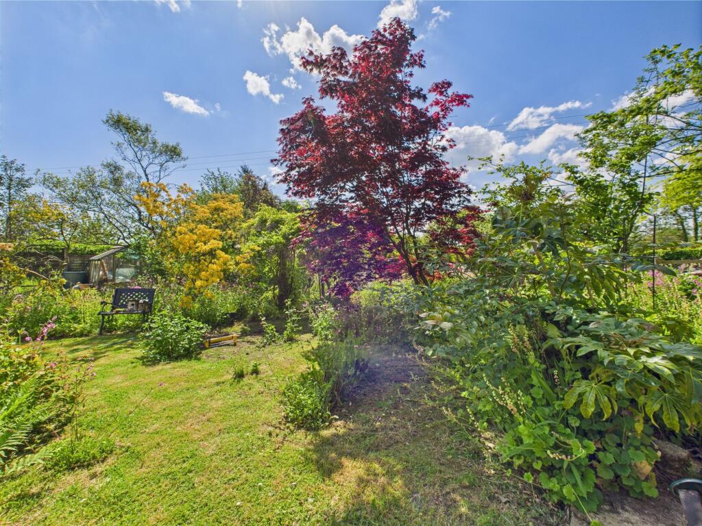 Back Garden