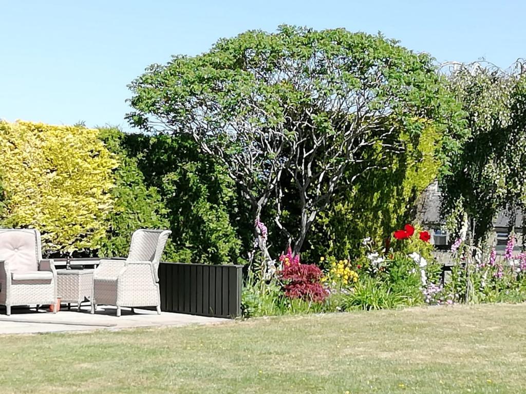 Vendor's garden phot