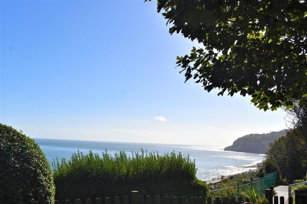 Views from Cliff Path.JPG