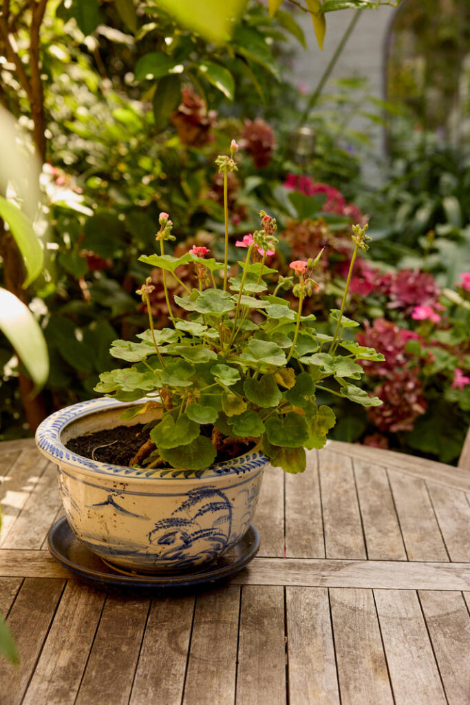 304415 - INIGO_GUNTERSTONE ROAD_22.JPG