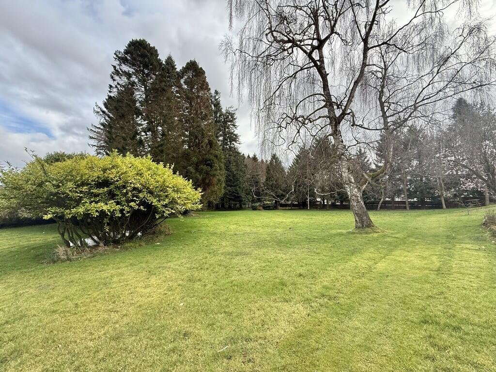 IMG_15682_14_larg...