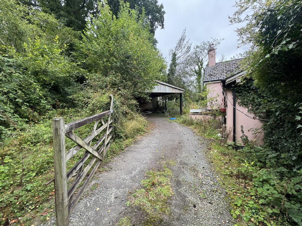 IMG 0903 T202508111315.jpeg