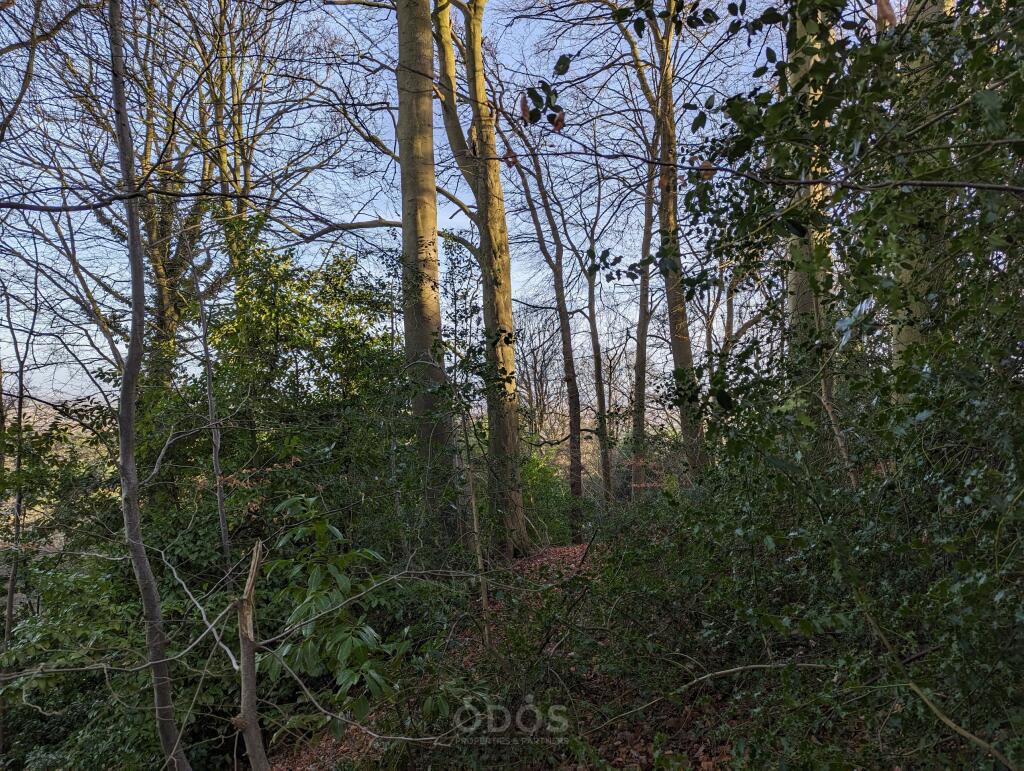 Grove Wood Painswick Road Brockworth GL3 4RU NB 23