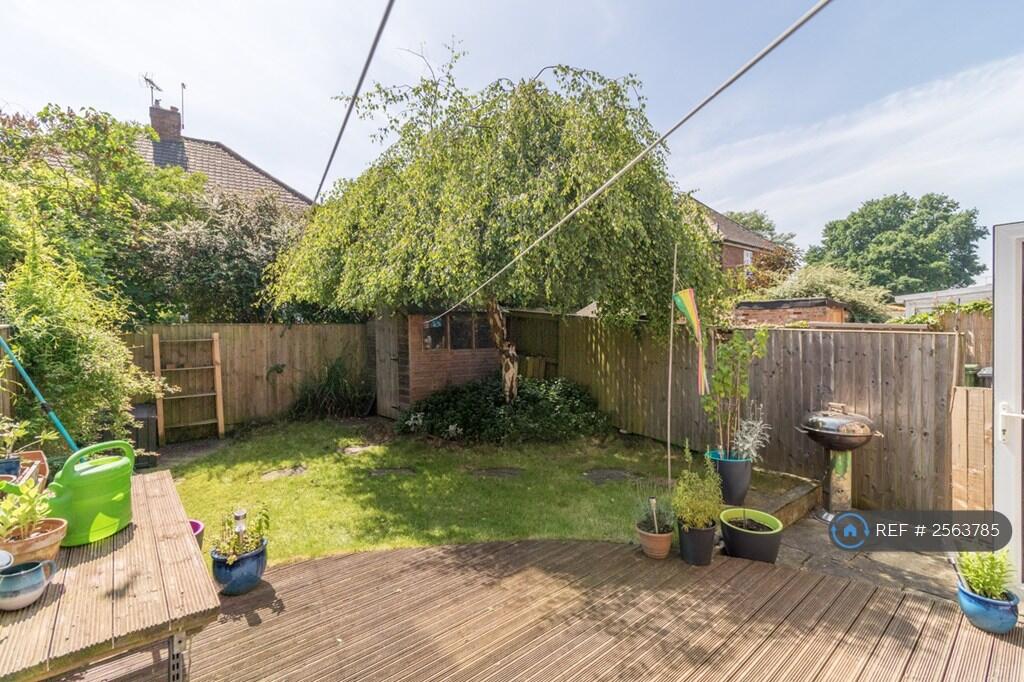 Back Garden