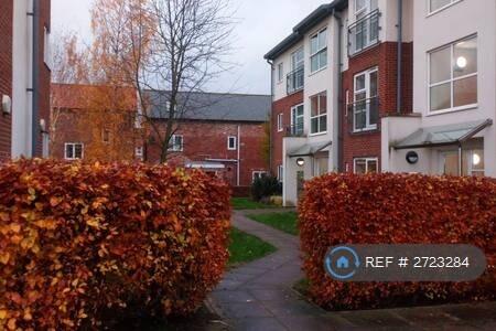 Rainy Day View Of Building From Car Space