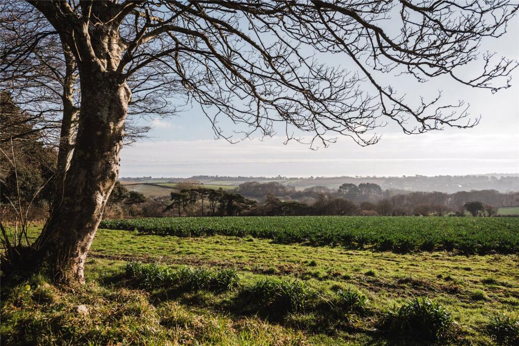 Countryside View