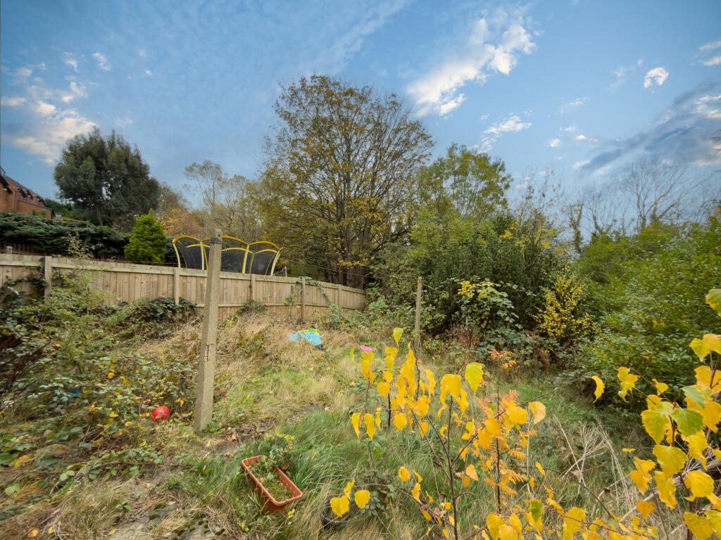 IMG 7046 4 T202511050959.jpg