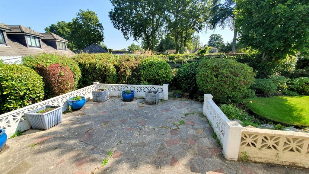 Rear patio.jpg