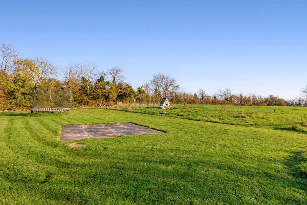 Field