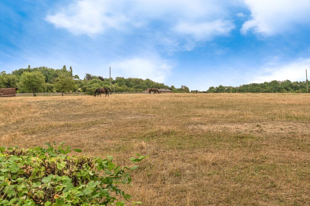 Countryside Outlook
