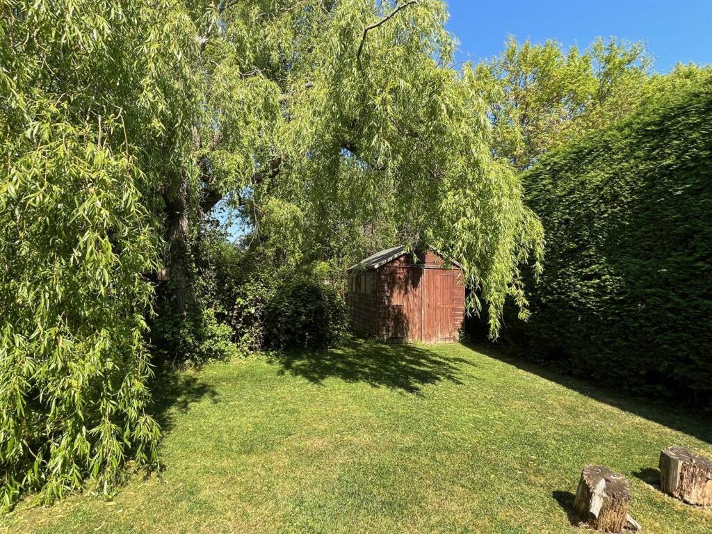 Willow Tree and shed