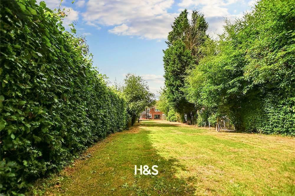 Stonor Park Road garden 1.jpeg