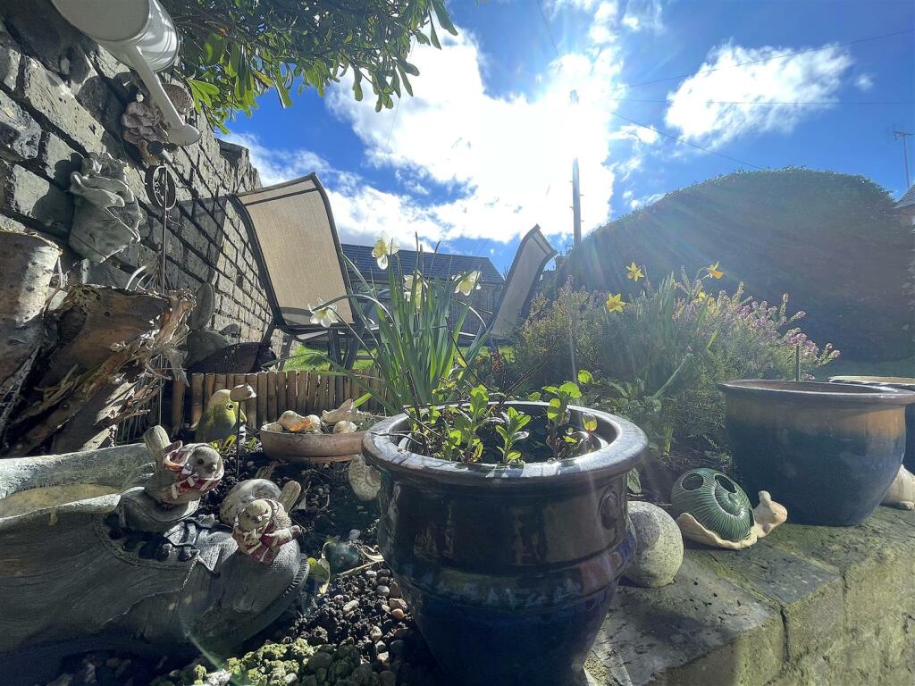 Garden (5).jpeg