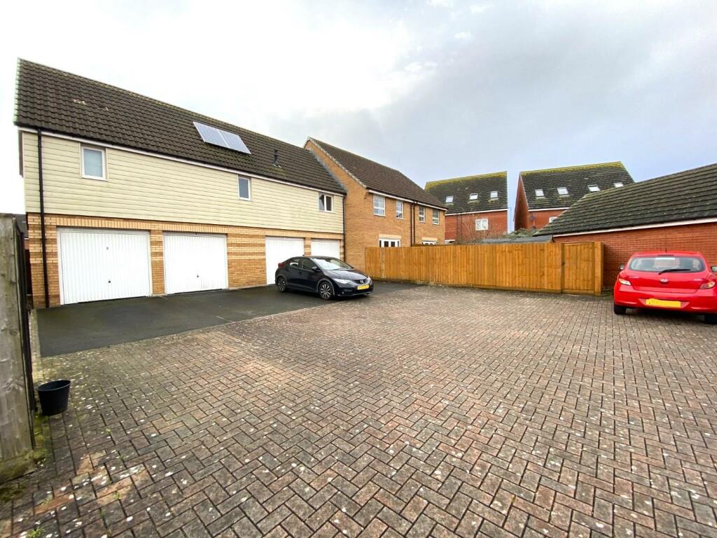 IMG_3060 (Large).JPG