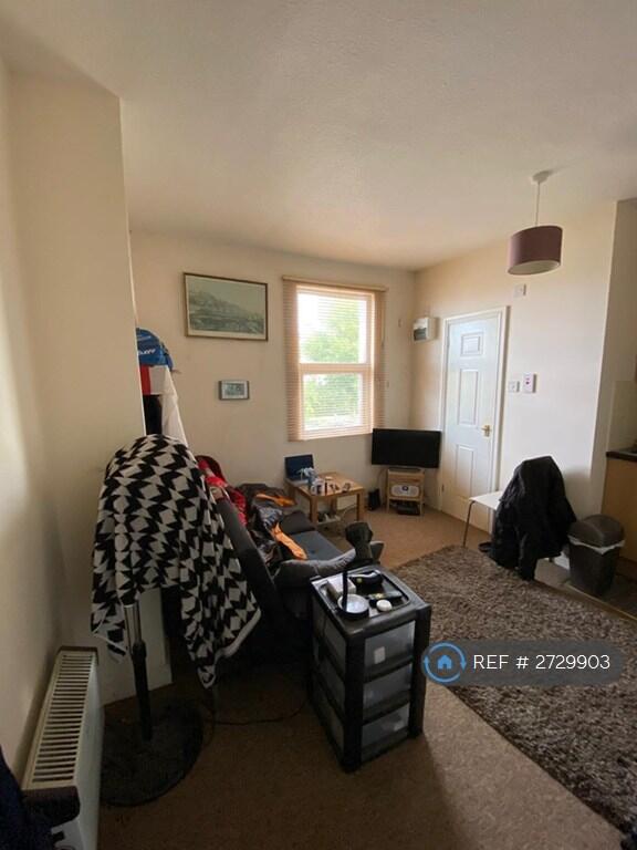 Studio With Pull-Out Bed 