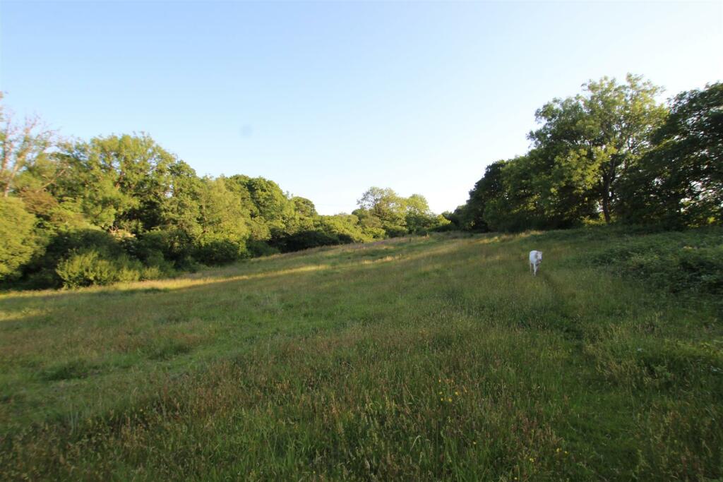 fields 2.JPG