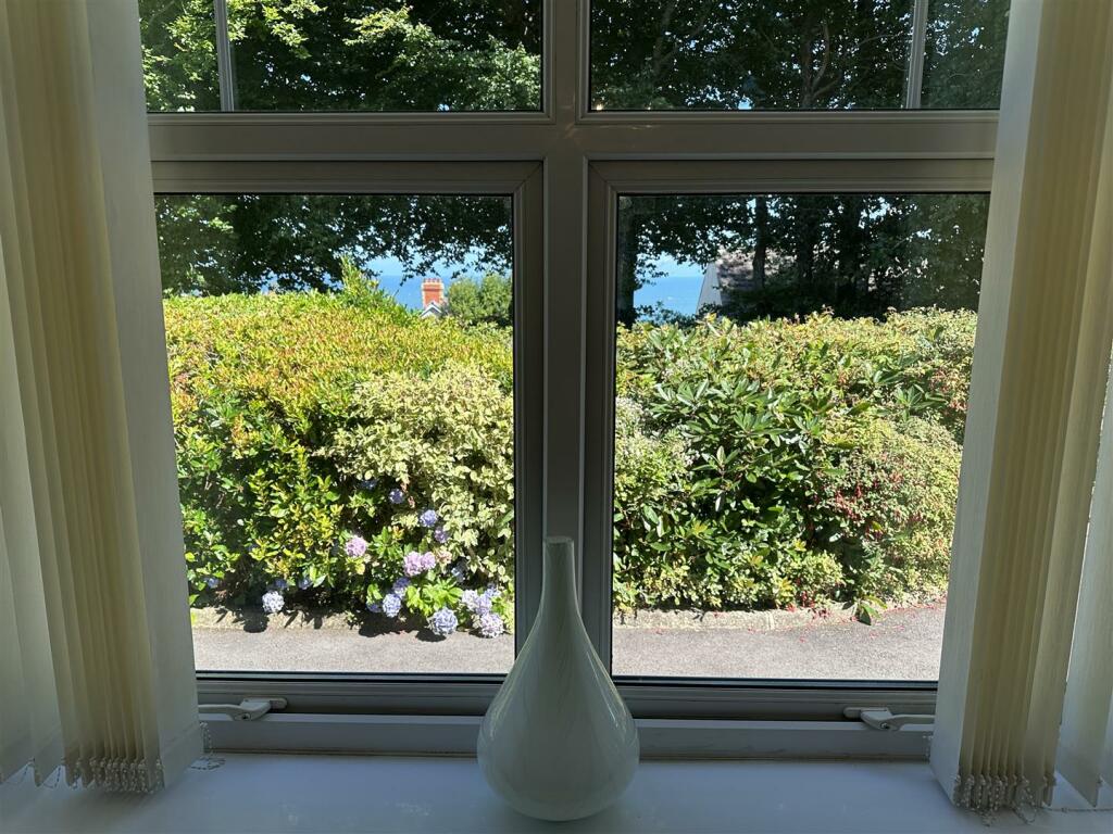 IMG_8905.jpeg