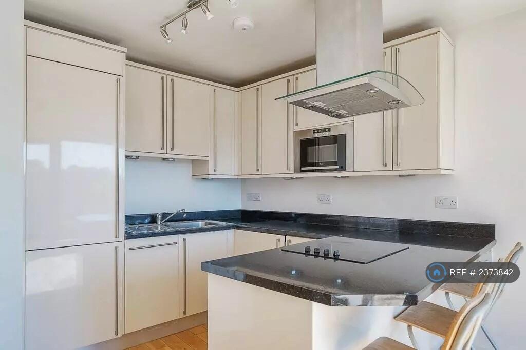 Disclaimer: Old Photos