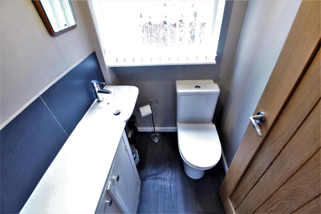 Toilet.jpg