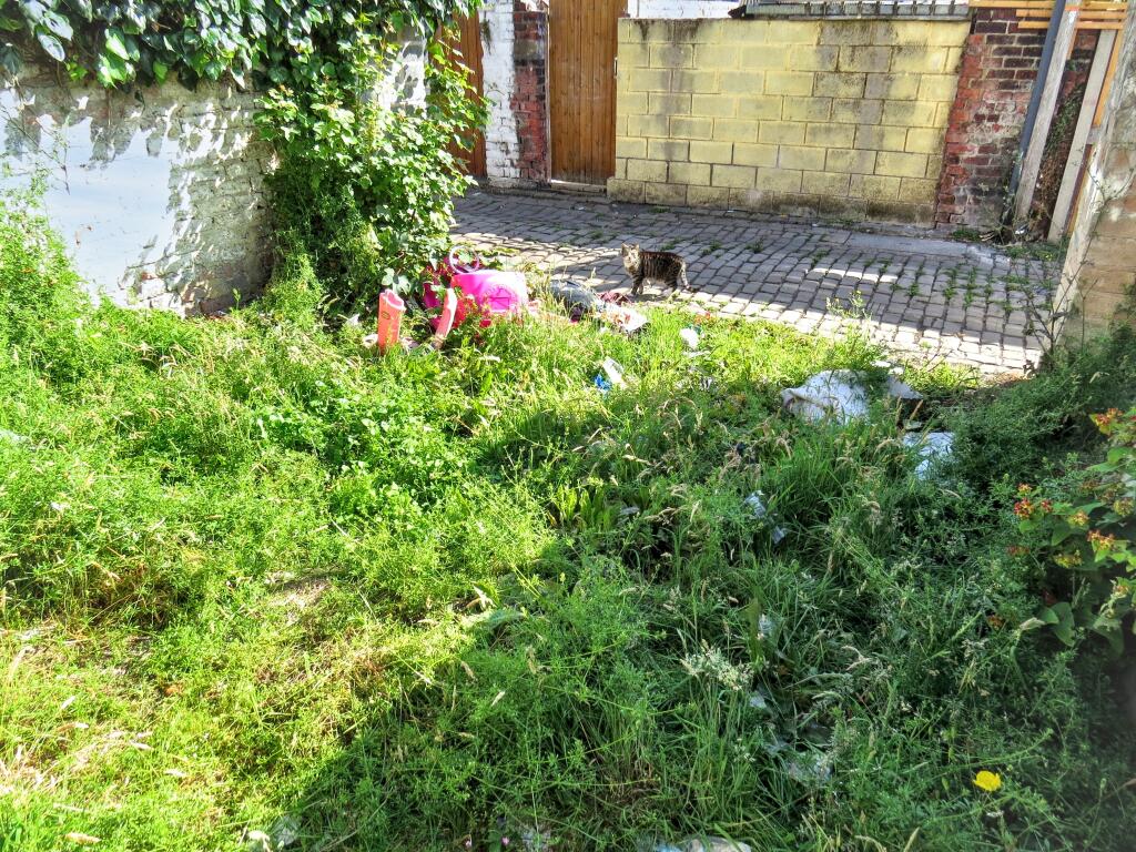 20250704162036 IMG 1735 PwGWD T202507071613.jpg