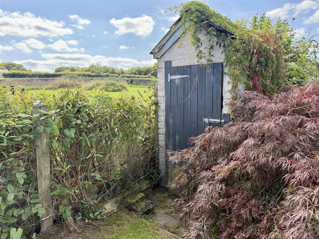 Garden Shed