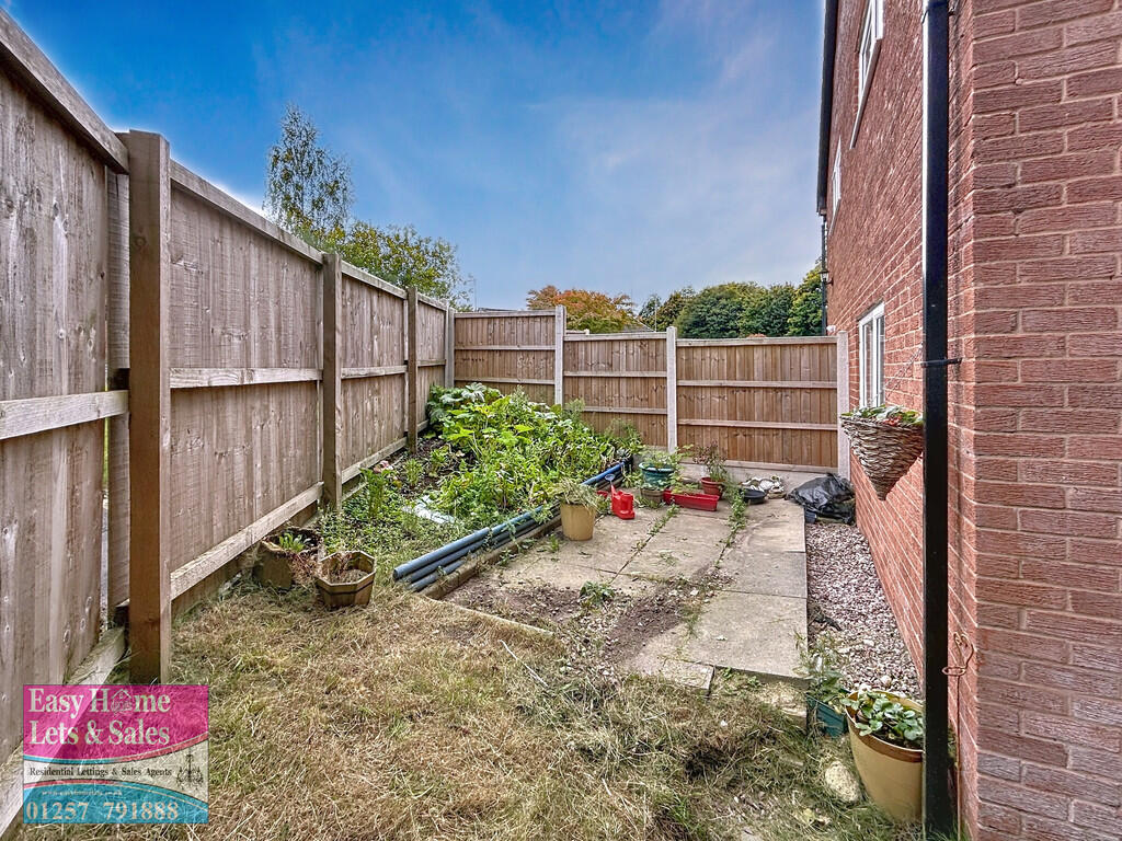 Back Garden
