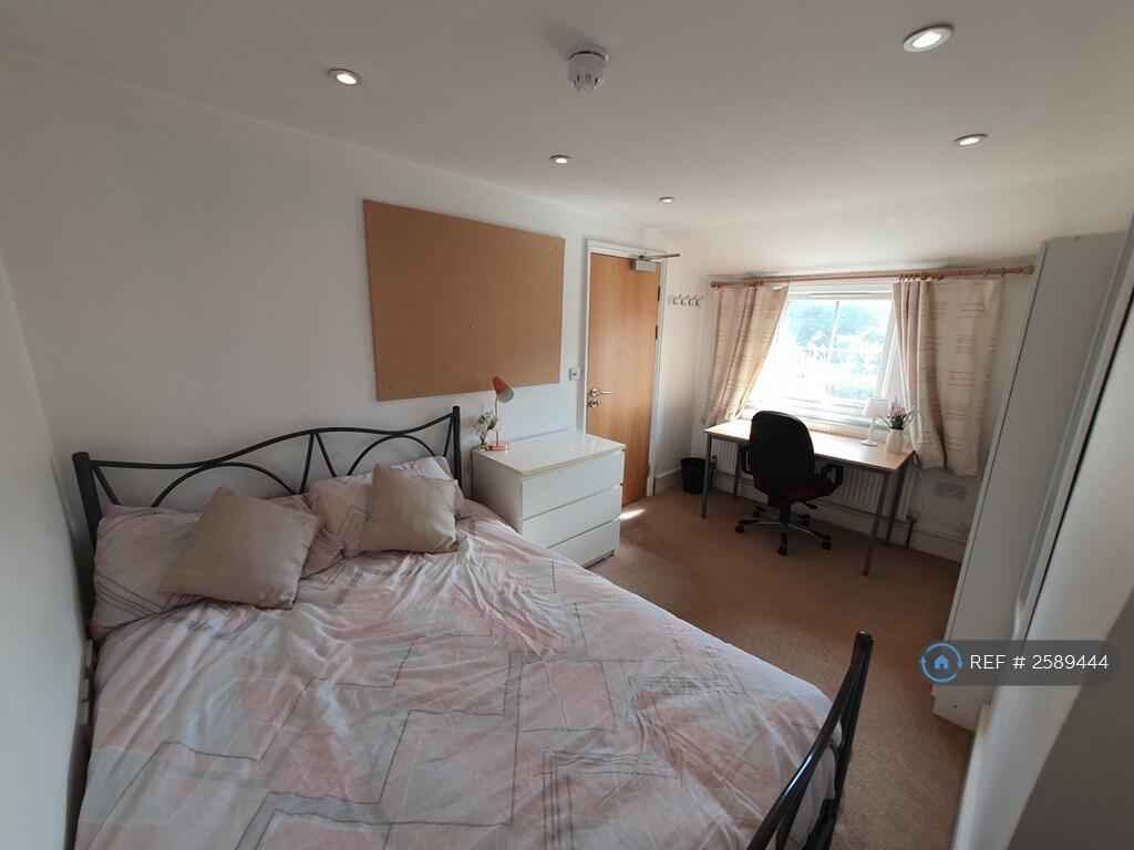 Available To Full Time Or Placement Student