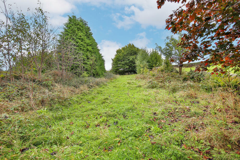 Garden2 T202410020916.jpg