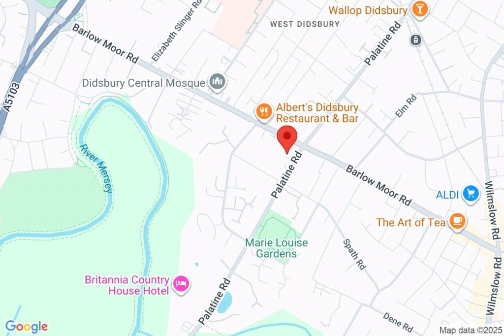 Google Maps Image