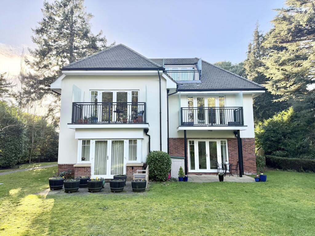 Rear Photo