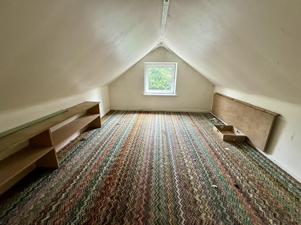 IMG 1401 T202506112225.jpeg