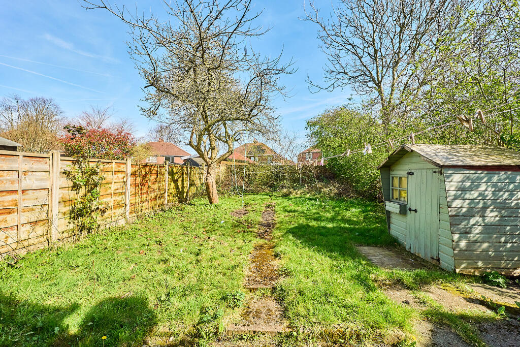 P1427805 T202503271806.jpg