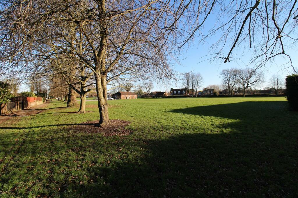 View of Local Park