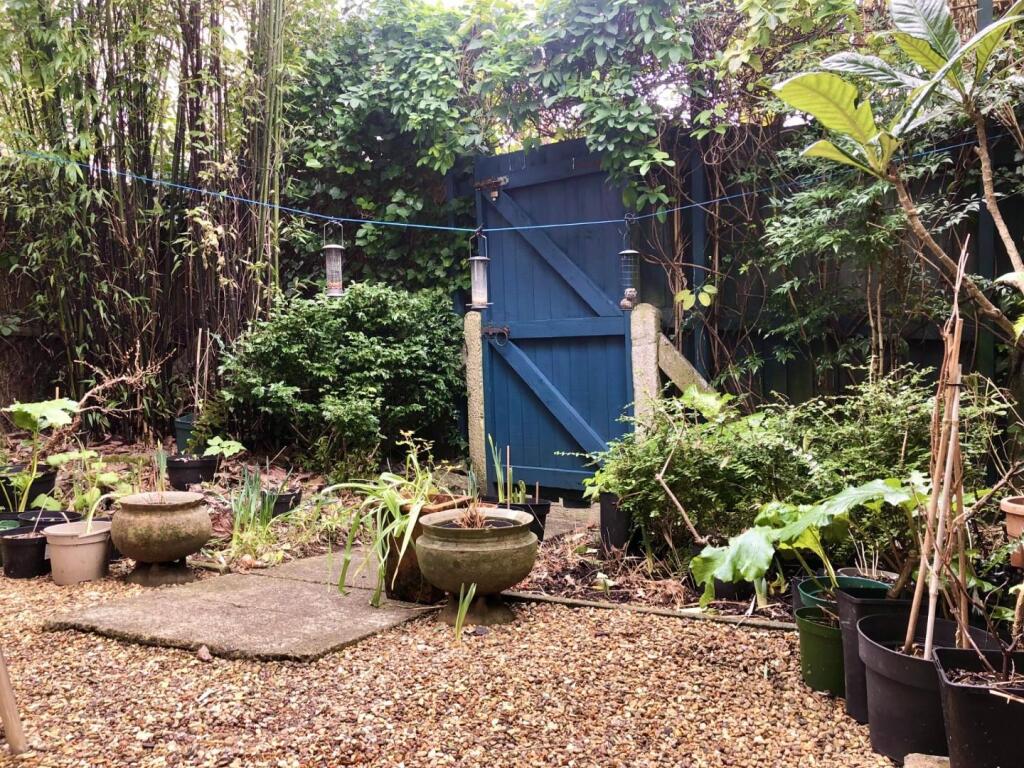 new garden shot 5 Claremont walk.jpg