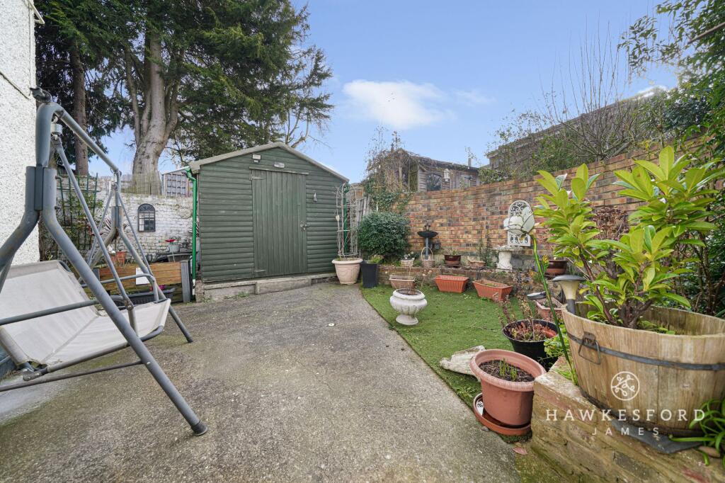 Albion Plane, Newington - Garden