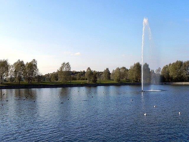 Photo 19