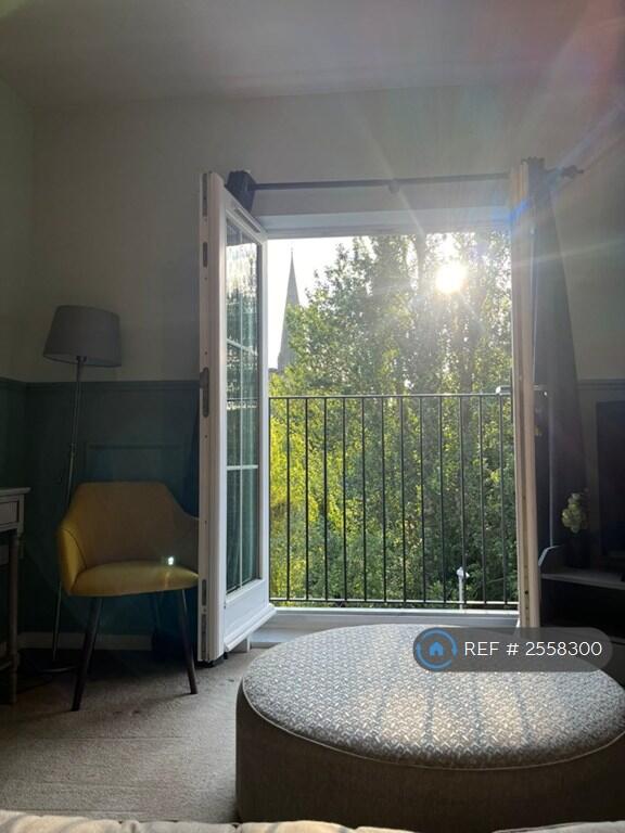 View From Patio Doors 