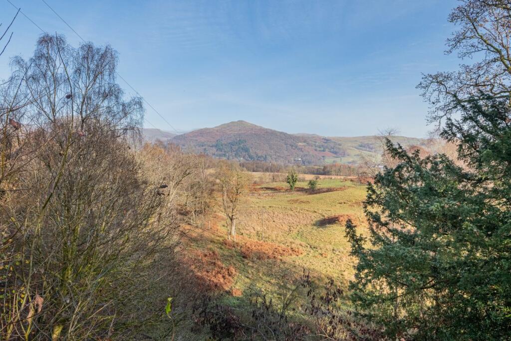 The Juniper House - View