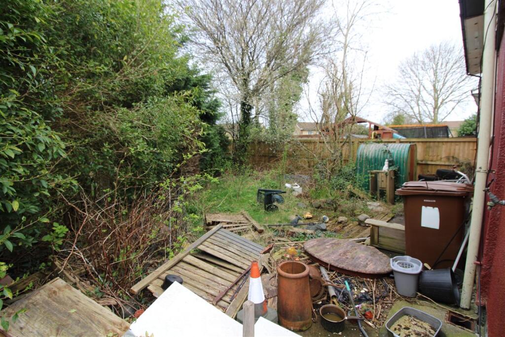 IMG 4848  Medium  T202503280926.jpg