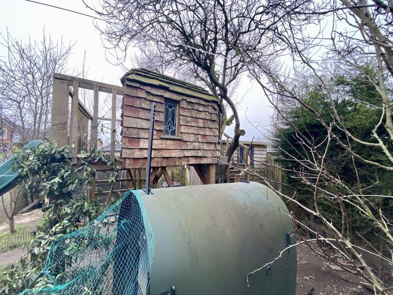 Tree House &amp; Chickens !