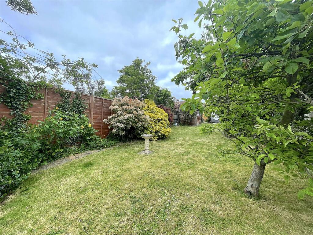 Garden (7).jpeg