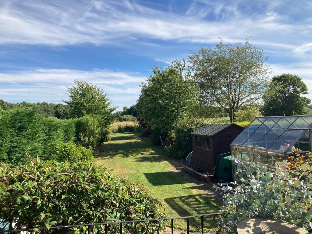 Garden 2.jpg