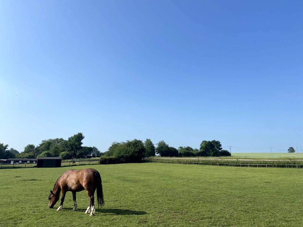 7fcb4102-50c8-48c...