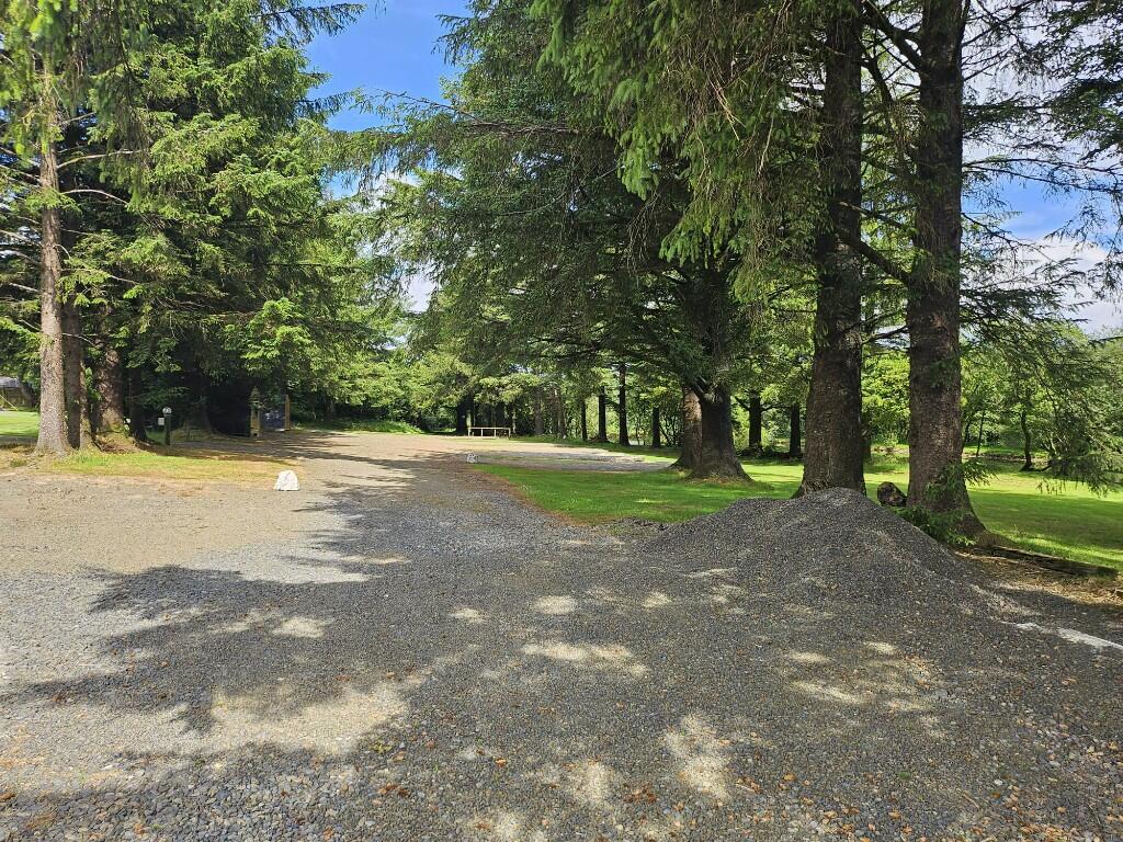 forest walks 