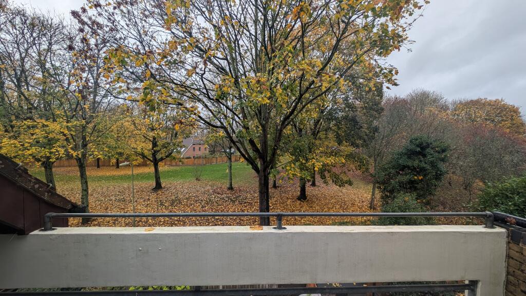 PXL_20251110_0926233